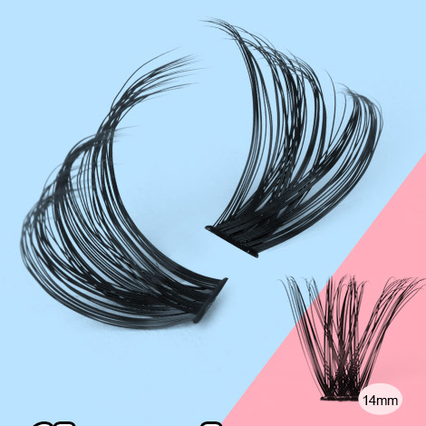 Ciglia segmentate